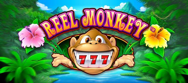 haha777 online casino